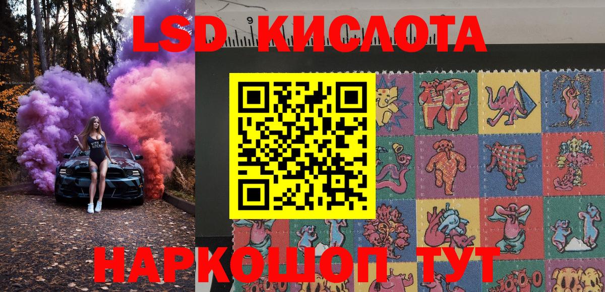 МЕФ Торжок