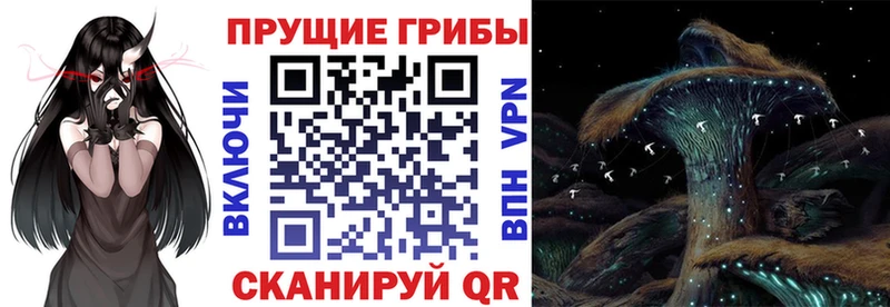хочу наркоту Торжок MEGA ссылка Галлюциногенные грибы Psilocybine cubensis