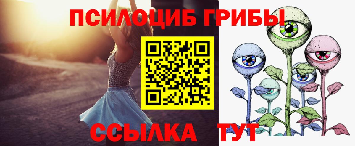 Псилоцибиновые грибы мицелий Торжок
