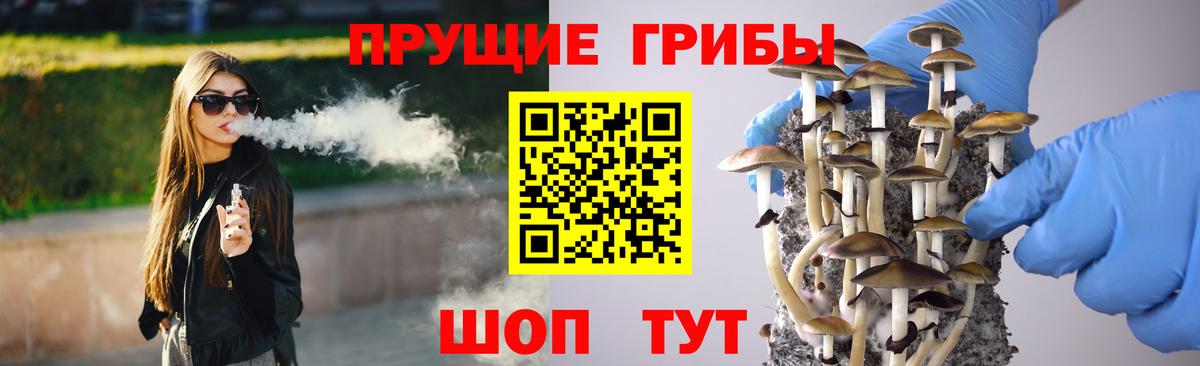 Торжок  Псилоцибиновые грибы Psilocybine cubensis  Вход с VPN 