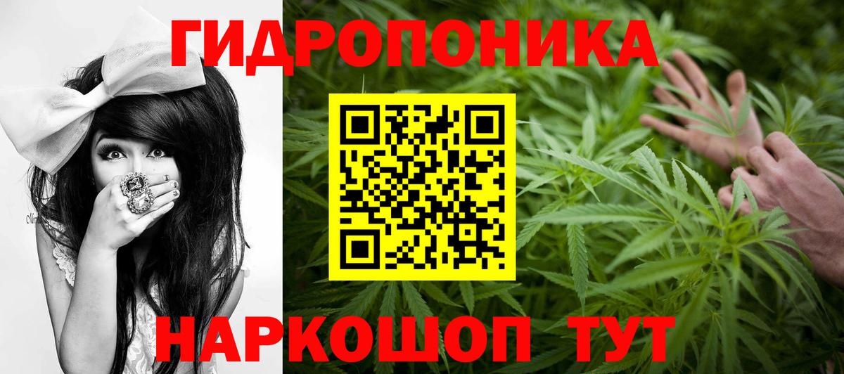 Бошки Шишки план  Каннабис тримм  Вход с VPN  Торжок  Марихуана конопля 